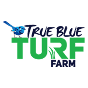 True Blue Turf | Social Media client