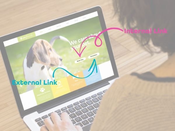 Woman using a laptop with visible arrows marking “Internal Link” and “External Link” on a pet care website, illustrating link strategies for SEO and user navigation.