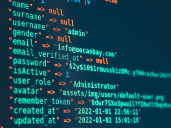 Computer screen with code and highlighted admin fields, symbolising schema markup and technical SEO setup.